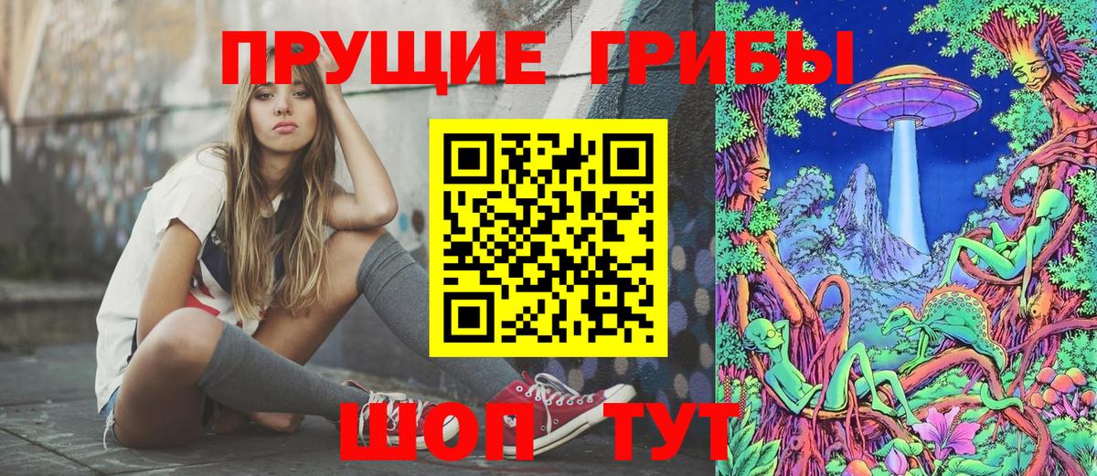 где купить наркотик  Псилоцибиновые грибы GOLDEN TEACHER  Вход с VPN  Кашира 