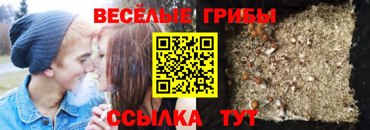 Галлюциногенные грибы прущие грибы Кашира